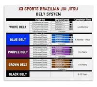 PIUHRKLEVD BJJ Brazilian Jiu-Jitsu Belt Color Rank System Educational Reference Poster No-Gi Grappling Wall-Art for Dojo Training Center(Framed,16x24inch(40x60cm))
