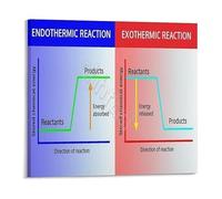 PIUHRKLEVD Chemical Reactions Endothermic and Exothermic Processes Educational Metal Tin Sign for Science Teachers Classroom Study Wall-Art 8 X 12 in