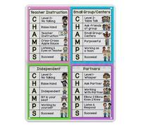 PIUHRKLEVD Classroom Expectations Metal Sign Motivational Aluminum Wall Decor for School Home Office Teacher Gift Idea 8 X 12 inch