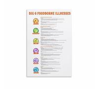 PIUHRKLEVD Food Handler Training Poster Set - Laminated Big 6 Pathogens & Hygiene Guide for Restaurant, Cafeteria and Truck Use(Unframed,16x24inch(40x60cm))