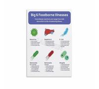 PIUHRKLEVD Foodborne Illness Poster Prevention Reference | Common illness guide for restaurant kitchen office wall(Framed,12x18inch(30x45cm))