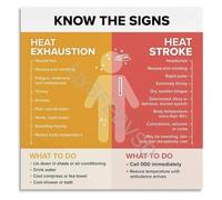 PIUHRKLEVD Heat Illness Recognition Poster Exhaustion Vs Stroke Symptoms Educational Infographic Canvas Print Wall-Art(Unframed,16x24inch(40x60cm))