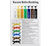 PIUHRKLEVD Karate Belt Order System and Color Meaning Reference Educational Canvas Poster Wall-Art Decor for Dojo Training Room Home Gym(Unframed,16x24inch(40x60cm))