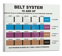 PIUHRKLEVD Martial Arts BJJ Belt Progression Chart Rank Order Reference Poster Brazilian Jiu-Jitsu Educational Wall-Art Gift for Men(Framed,08x12inch(20x30cm))