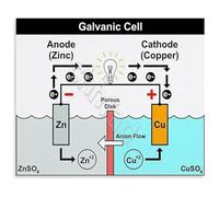 PIUHRKLEVD Science Classroom Decor Galvanic Cell Poster Redox Reactions Chemistry Chart STEM Wall-Art for High School or College 8 X 12 inch