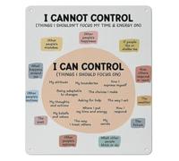 PIUHRKLEVD Things I Can Control Motivational Metal Sign Growth Mindset Wall Decor For Classroom Office Anxiety Self Regulation 8 X 12 inch