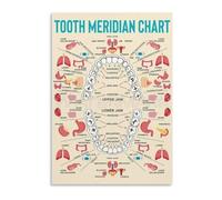 PIUHRKLEVD Tooth Organ Connection Chart Metal Sign Meridian Reference Traditional Chinese Medicine Educational Wall-Art for Acupuncture Clinic Classroom (8 X 12 in)
