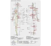 PIUHRKLEVD Traditional Chinese Medicine Chart Five Elements Meridian Acupuncture Poster Aluminum Sign for Office Yoga Studio Room Wall Decor 8 X 12 inch