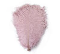 Piuma Di Struzzo 10 pezzi di piume struzzo colorate da 15 a 60 cm for artigianato, carnevale, matrimonio, fai te, centrotavola, decorazioni, soffici , accessori all'ingrosso(Leather pink,15-20cm)