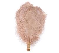 Piuma Di Struzzo 10 pezzi di piume struzzo colorate da 15 a 60 cm for artigianato, carnevale, matrimonio, fai te, centrotavola, decorazioni, soffici , accessori all'ingrosso(Vermilion Pink,35-40cm)