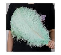 Piuma Di Struzzo 10 Pz/lotto 15-60 cm Luce Blu Piume di Struzzo Naturali Soffici Pennacchi for L'artigianato di Carnevale di Nozze Decorazione Della Casa Ristorante(Light Pink,55-60CM Big pole)