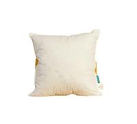 Piuma d'oca, cuscino quadrato solido, bianco, 45,72 cm x 45,72 cm, 1 pezzo