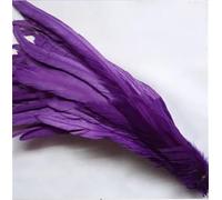 Piuma naturale 100 pz/lotto 25-45 Cm Piuma Rossa Abbigliamento FAI DA TE Decorazione Gioielli Partito Stage Performance Viola 30-35CM