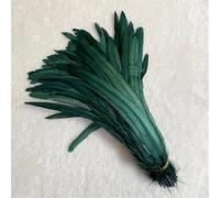 Piuma naturale 100 pz/lotto 25-45 Cm Piuma Rossa Abbigliamento FAI DA TE Decorazione Gioielli Partito Stage Performance Nerastro En8 30-35CM