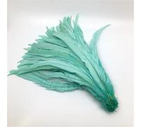 Piuma naturale 100 pz/lotto 25-45 Cm Piuma Rossa Abbigliamento FAI DA TE Decorazione Gioielli Partito Stage Performance Mint En8 40-45CM