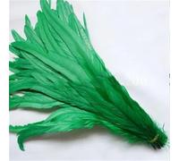 Piuma naturale 100 pz/lotto 25-45 Cm Piuma Rossa Abbigliamento FAI DA TE Decorazione Gioielli Partito Stage Performance En8 35-40CM