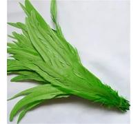 Piuma naturale 100 pz/lotto 25-45 Cm Piuma Rossa Abbigliamento FAI DA TE Decorazione Gioielli Partito Stage Performance Frutta En8 30-35CM