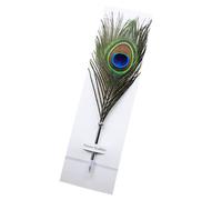 Piuma penna a sfera Piuma di pavone scrittura penna penna set regalo