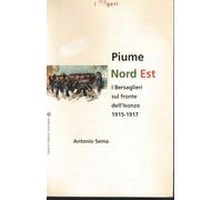 Piume a nord est. I bersaglieri sul fronte dell'Isonzo (1915-1917)