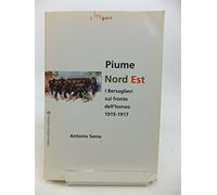 Piume a nord est. I bersaglieri sul fronte dell'Isonzo (1915-1917)