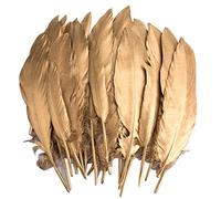 Piume Colorate, 40 Pezzi di Piume Naturali immerse d' Oro Adatto, per Le Feste di Compleanno e Matrimonio Costume, DIY Dream Catchers Orecchini Craft Centrotavola (Feathers J)