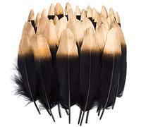 Piume Colorate, 40 pezzi di piume Rosso/Nero naturali immerse d' oro/Argento adatto, per le feste di compleanno e matrimonio costume, DIY Dream Catchers Orecchini Craft Centrotavola (Feathers B)