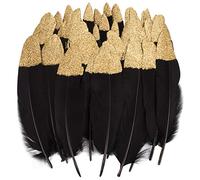 Piume Colorate, 40 pezzi di piume Rosso/Nero naturali immerse d' oro/Argento adatto, per le feste di compleanno e matrimonio costume, DIY Dream Catchers Orecchini Craft Centrotavola (Feathers F)
