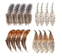 Piume Decorative Lunghe Piume, 200 Pezzi Piume Naturali Piume Fai da Te decorative per Artigianato Accessori per Decorazioni Feste, 4 Dimensioni