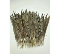 Piume di coda di fagiano naturale 50 pezzi, cappelli, copricapi, centrotavola per decorazioni nuziali, piume per feste, 30-35 cm, 50 pezzi