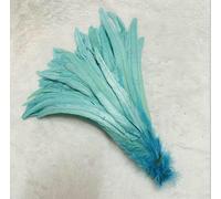 Piume di coda di gallo naturali, piume verde menta, abbigliamento fai da te per gallo, accessori per gioielli, feste, all'ingrosso, 25-45 cm, 10-18 pollici - blu acqua - 10-12 pollici 25-30 cm