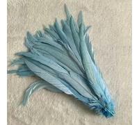 Piume di coda di gallo naturali, piume verde menta, abbigliamento fai da te per gallo, accessori per gioielli, feste, all'ingrosso, 25-45 cm, 10-18 pollici, blu cielo, 10-12 pollici, 25-30 cm