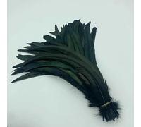 Piume di coda di gallo naturali, piume verde menta, abbigliamento fai da te per gallo, accessori per gioielli, feste, all'ingrosso, 25-45 cm, 10-18 pollici - nero - 10-12 pollici 25-30 cm