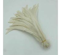Piume di coda di gallo naturali, piume verde menta, abbigliamento fai da te per gallo, accessori per gioielli, feste, all'ingrosso, 25-45 cm, 10-18 pollici - 10-12 pollici 25-30 cm