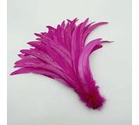 Piume di coda di gallo naturali, piume verde menta, abbigliamento fai da te per gallo, accessori per gioielli, feste, all'ingrosso, 25-45 cm, 10-18 pollici, rosso pesca, 10-12 pollici, 25-30 cm