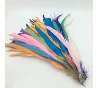 Piume di coda di gallo naturali, piume verde menta, abbigliamento fai da te per gallo, accessori per gioielli, feste, all'ingrosso, 25-45 cm, 10-18 pollici - Mixcolors - 10-12 pollici 25-30 cm