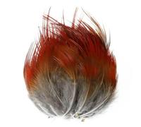 Piume di fagiano naturali miste da 5-15 cm, per la creazione di gioielli, creazioni in macramè, decorazioni artigianali, 50 pezzi -P4 6-8 cm