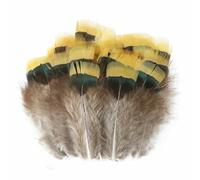 Piume di fagiano sfuse sfuse 5-10 cm naturali non tinte 100 pezzi materiale per artigianato piume bouquet da sposa creazione di gioielli decorazione boho-tong ji huang tou