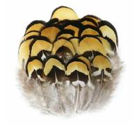 Piume di fagiano sfuse sfuse 5-10 cm naturali non tinte 100 pezzi materiale per artigianato piume bouquet da sposa creazione di gioielli decorazione boho-di ji huang pian