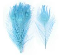 Piume di pavone colorate da 25-30 cm, occhi grandi naturali, piume da 10-12 pollici, decorazioni per feste, abiti da sposa, accessori fai da te, blu cielo, 10 pezzi
