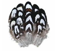 Piume di pavone, fagiano, piccole piume di aquila, piume di pollo, piume di struzzo, decorazioni fai da te, accessori artigianali, creazione di gioielli, 3-7 cm, g, 50 pezzi