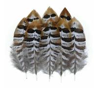 Piume di pavone, fagiano, piccole piume di aquila, piume di pollo, piume di struzzo, decorazioni fai da te, accessori artigianali, creazione di gioielli, 4-8 cm, 50 pezzi