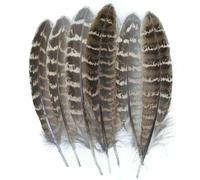 Piume di pavone, fagiano, piccole piume di aquila, piume di pollo, piume di struzzo, decorazioni fai da te, accessori artigianali, creazione di gioielli - 10-15 cm - 50 pezzi