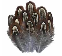 Piume di pavone, fagiano, piccole piume di aquila, piume di pollo, piume di struzzo, decorazioni fai da te, accessori artigianali, creazione di gioielli - 3-7 cm - 50 pezzi