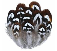 Piume di pavone, fagiano, piccole piume di aquila, piume di struzzo, decorazioni artigianali fai da te, accessori per gioielli, creazione all'ingrosso - 3-7 cm - 50 pezzi