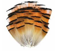 Piume di pavone, fagiano, piccole piume di aquila, piume di struzzo, decorazioni artigianali fai da te, accessori per gioielli, creazione all'ingrosso - 3-7 cm - 50 pezzi