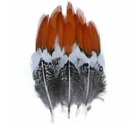 Piume di pavone, fagiano, piccole piume di aquila, piume di struzzo, decorazioni artigianali fai da te, accessori per gioielli, creazione all'ingrosso - 5-10 cm - 50 pezzi