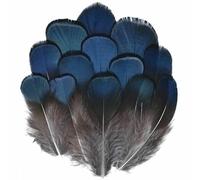 Piume di pavone, fagiano, piccole piume di aquila, piume di struzzo, decorazioni artigianali fai da te, accessori per gioielli, creazione all'ingrosso - 3-7 cm_k-50 pezzi