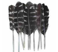 Piume di pavone, fagiano, piccole piume di aquila, piume di struzzo, decorazioni artigianali fai da te, accessori per gioielli, creazione all'ingrosso - 6-10 cm - 50 pezzi