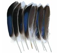 Piume di pavone, fagiano, piccole piume di aquila, piume di struzzo, decorazioni artigianali fai da te, accessori per gioielli, creazione all'ingrosso - 10-15 cm - 50 pezzi