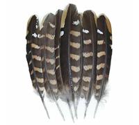 Piume di pavone, fagiano, piccole piume di aquila, piume di struzzo, decorazioni artigianali fai da te, accessori per gioielli, creazione all'ingrosso - 10-15 cm - 50 pezzi